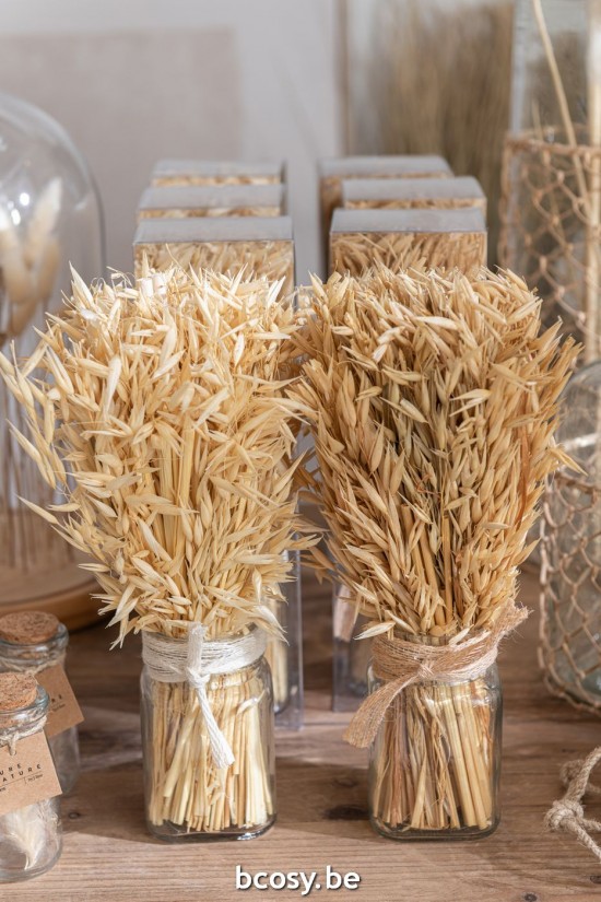 Jline Bunch Dried Avana Grass In Vase Natural Assortment Of 2.