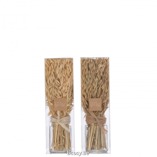 J Line fleurs séchées Jolipa Bouquet Herbes Avana Dans Vase Naturel Assortiment De 2.