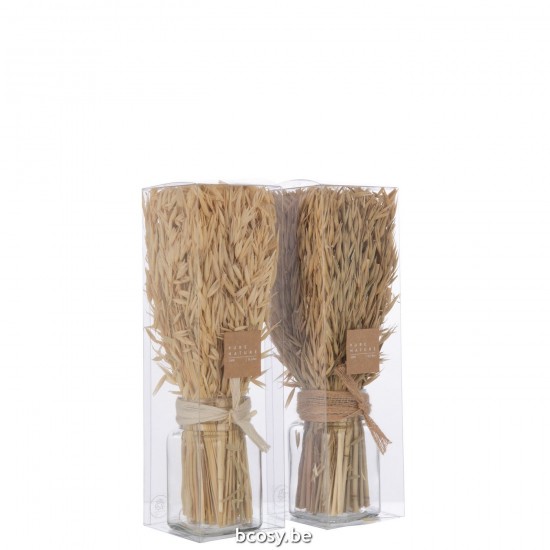 Jline Bundel Gedroogde Avana Gras In Vaas Naturel Assortiment Van 2.