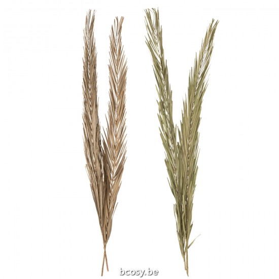 Jline 33013 Bloemen Fleurs Flowers Blumen Flores Fiori DECORATIE Kunst Bloemen Planten Bomen.