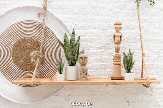 Jline Plant Sansevieria In Pot Pvc Green Large.