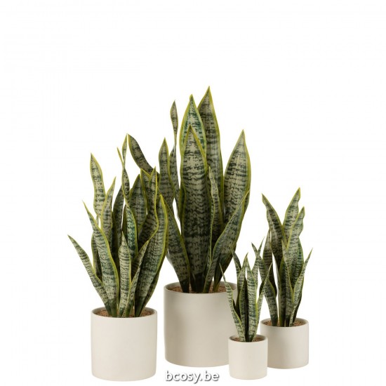 Jline 33023 Bloemen Fleurs Flowers Blumen Flores Fiori DECORATIE Kunst Bloemen Planten Bomen.