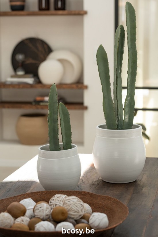 Jline Cactus 3 Parts In Pot Plastic Green Large.