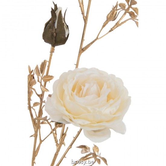 Jline 37575 Bloemen Fleurs Flowers Blumen Flores Fiori DECORATIE Kunst Bloemen Planten Bomen.