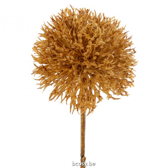 Jline 37623 Bloemen Fleurs Flowers Blumen Flores Fiori DECORATIE Kunst Bloemen Planten Bomen.