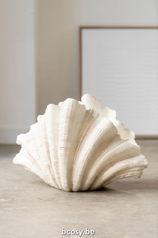 Jline Jarron Deco Concha Almeja Poliresina Blanco Hueso.