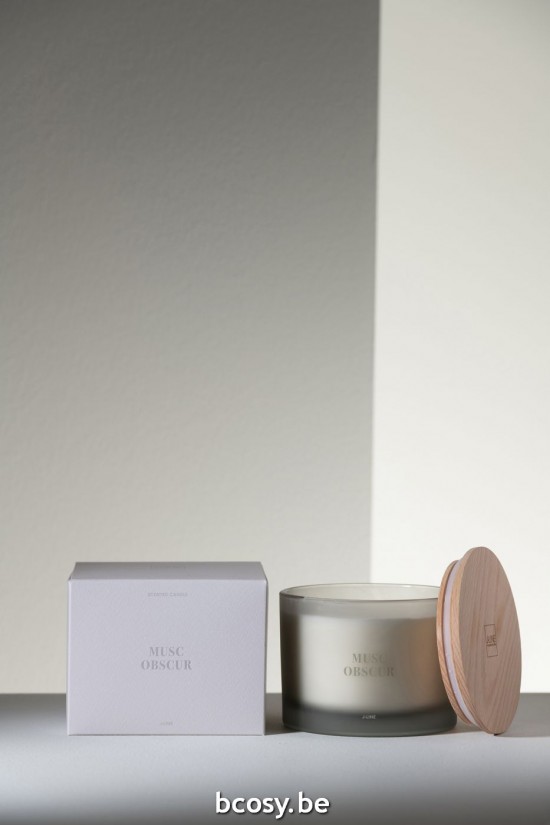 Jline Vela Perfumada Accords Essentiels Musc Obscur 28H.