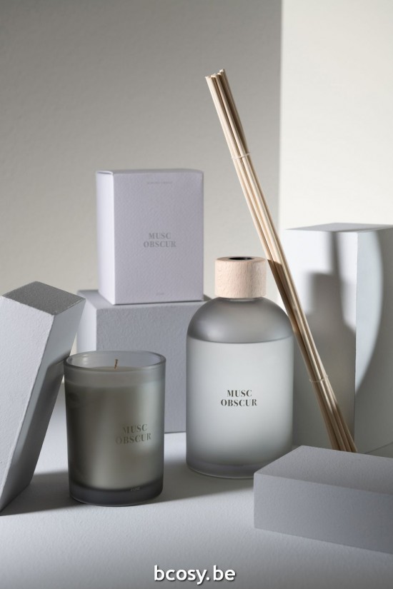 J Line 40592 Decorazione Decoratie riehwasser Geur diffuseur parfum scent diffuser Parfuem House perfume Jewellery Diffuseurs.