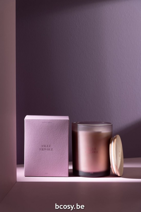 Jline Vela Perfumada Accords Essentiels Figue Frivole 52H.