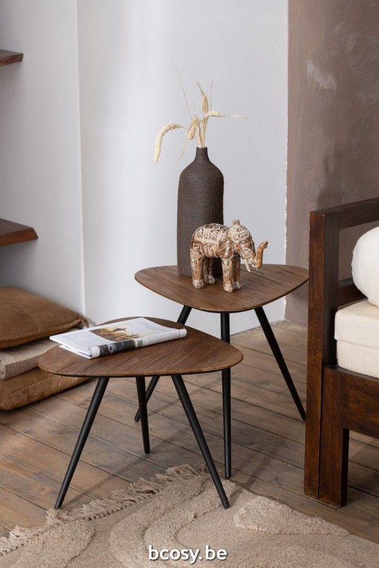 Jline Juego De 2 Mesas Triangulares Teca Reciclada Natural.