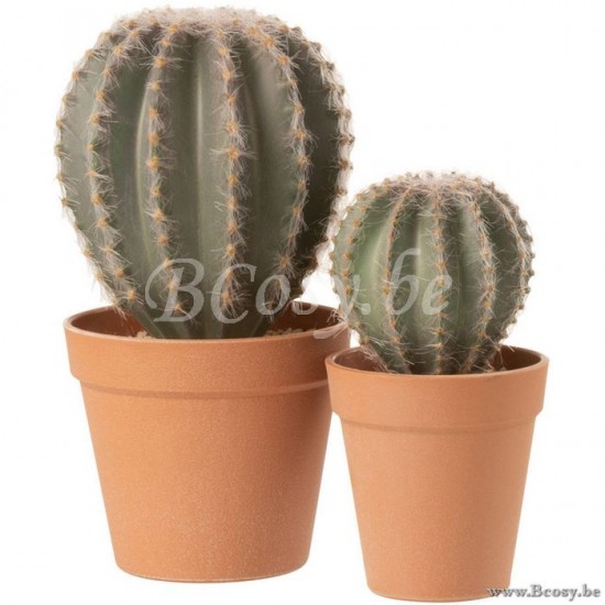 Jline 4115 Bloemen Fleurs Flowers Blumen Flores Fiori DECORATIE Kunst Bloemen Planten Bomen.