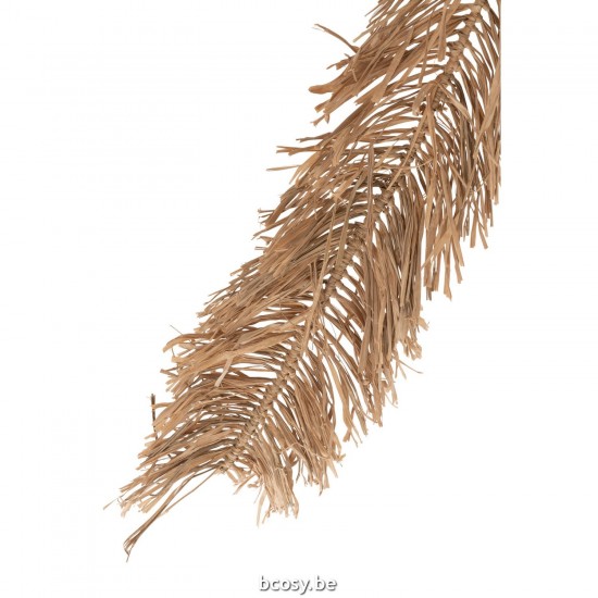 J Line arbres decos Jolipa Palmier Zostere Naturel Large.