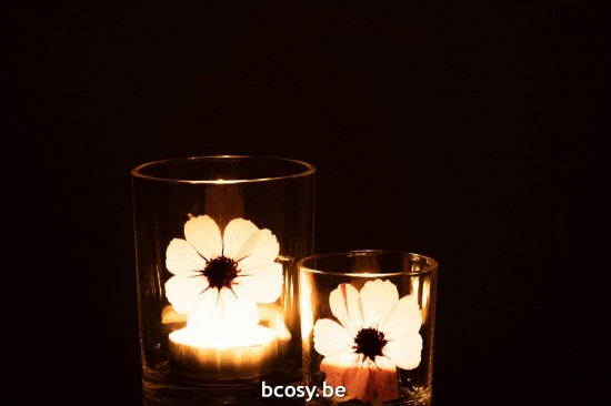 Jline Windlicht Blume Rose Glas Mix t lichthalter teelichtleuchter teelichte.