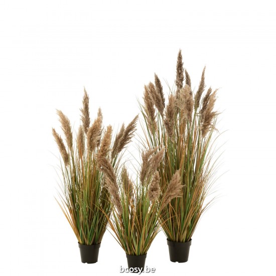 Jline 43824 Bloemen Fleurs Flowers Blumen Flores Fiori DECORATIE Kunst Bloemen Planten Bomen.