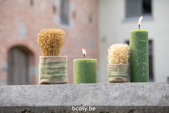 Jline Cosecha En Maceta Terracota Natural Surtido De 2.