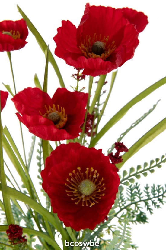 Jline 43885 Bloemen Fleurs Flowers Blumen Flores Fiori DECORATIE Kunst Bloemen Planten Bomen.