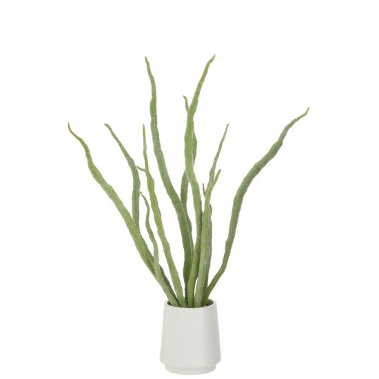 J Line Succulentes Jolipa Plante Grasse En Pot Artificiel Vert.