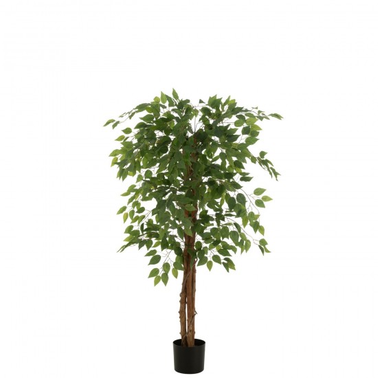 J Line arbres decos Jolipa Ficus Pot Artificiel Vert Brillant.