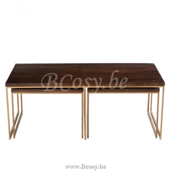J Line Jline Salontafel Rafi 3Delig Ijzer Mango Hout Goud Donker Bruin