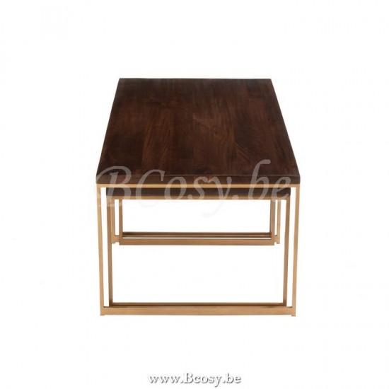 J Line Jline Coffee Table Rafi 3Parts Iron Mango Wood Gold Dark Brown coffee tables