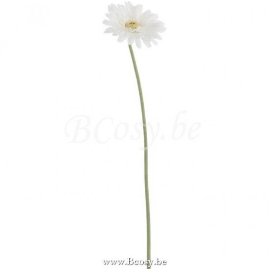 Jline 83275 Bloemen Fleurs Flowers Blumen Flores Fiori DECORATIE Kunst Bloemen Planten Bomen