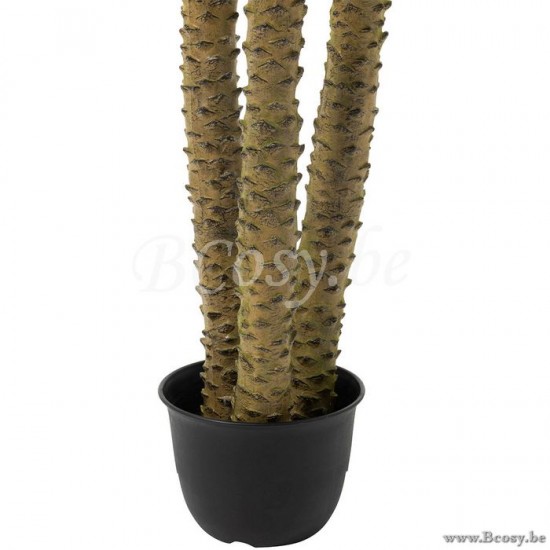 Jline 93119 Bloemen Fleurs Flowers Blumen Flores Fiori DECORATIE Kunst Bloemen Planten Bomen