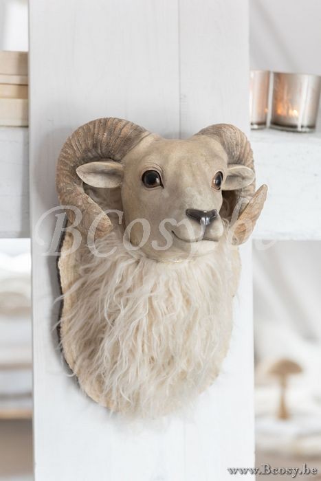 J Line 95420 Decorazione animals animaux au mur Dieren aan muur Dekoration accessoires De La Maison Accessori Della Casa frames Cadres dier muur dieren aan de muur Decoration rahmen Decoratie Cornici