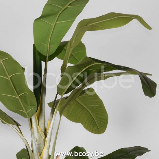 LABEL 51 Musa Groen Kunststof 180 cm.