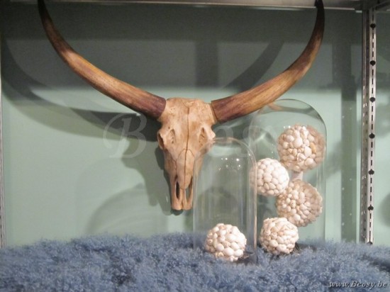 Lifestyle94 Home collection BULL SKULL S