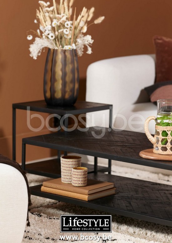 Lifestyle SALONTAFEL KNOXVILLE 120X60X40 Lifestyle94 KOFFIETAFEL KNOXVILLE 120X60X40