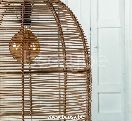  Lifestyle 144981 Lifestyle94 144981 LFS 144981