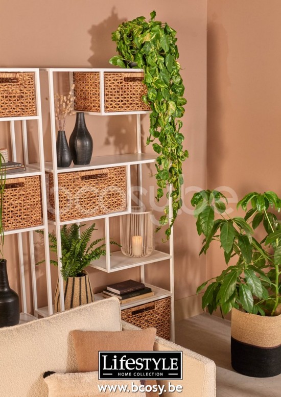 Lifestyle SCHRANK IMPERIAL NATURAL 100x35x190 CM