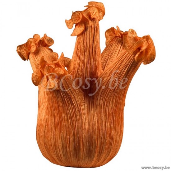 Linea Verdace GEVE TAFELLP SWEET FENNEL LIGHT ORANGE D220