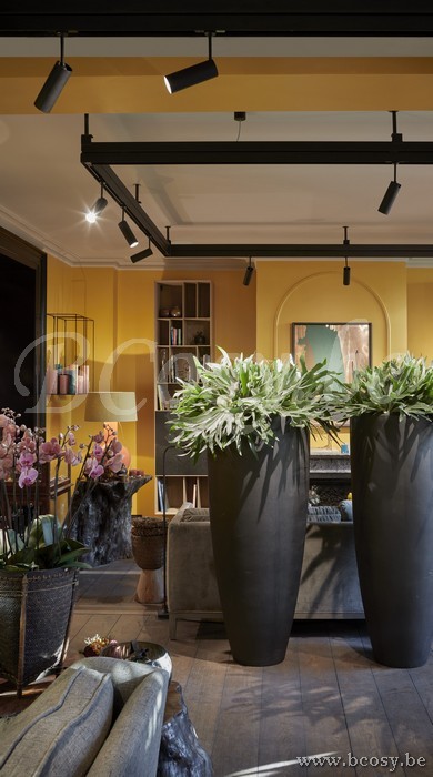 Tekna Flatspot FLATSPOT 6 GU10 LED ZWART NA 500.06.752 G NAU50006752 G