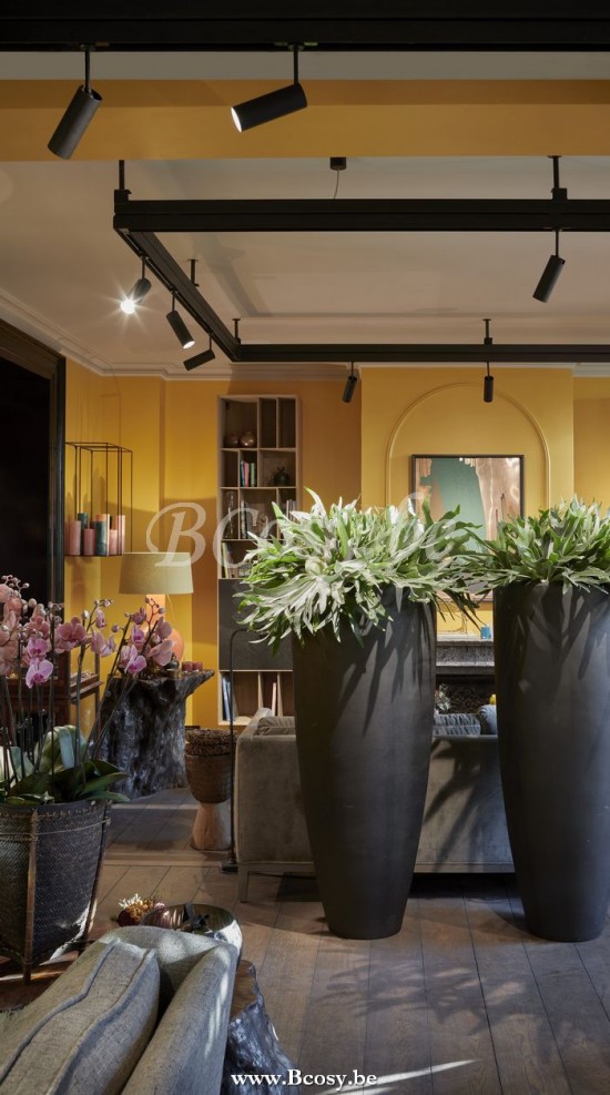 Tekna Flatspot F023 Y NAU 500.06.752 G