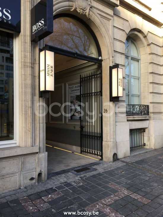 Tekna Nautic ILFORD WALL XL-donker brons PMMA.