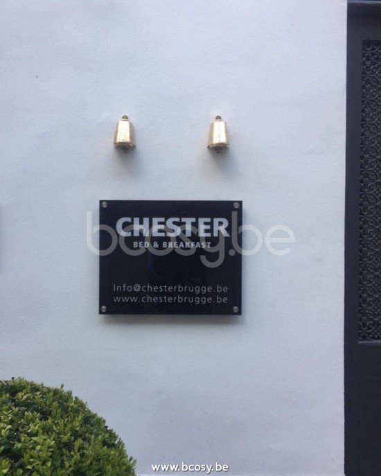 Tekna Nautic SPREADERLIGHT 12V-LED-laiton poli.