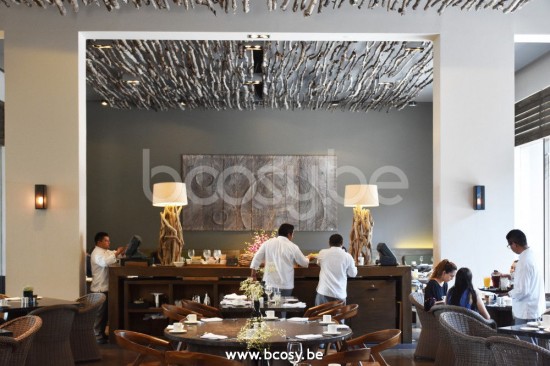 Tekna Nautic N113DBR222HG.