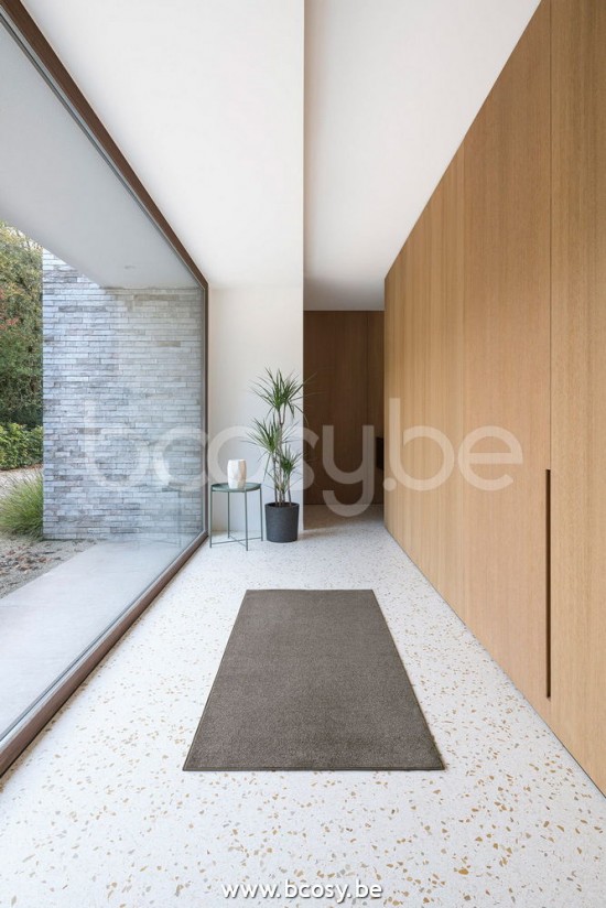 Sedna agunua teppiche