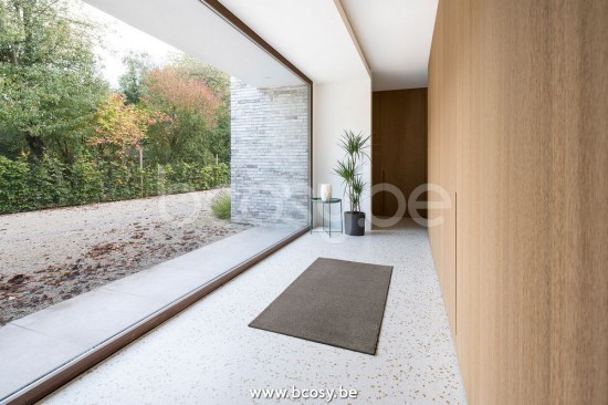 Sedna agunua tappeto