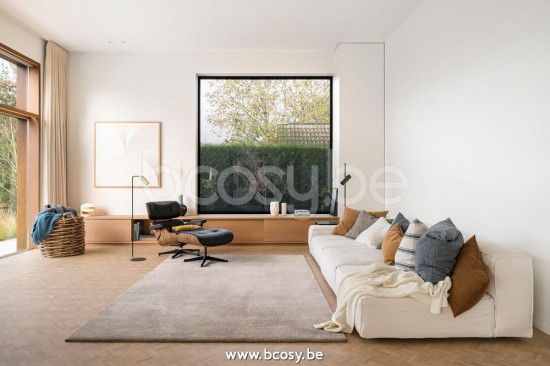 Sedna amalthea teppiche