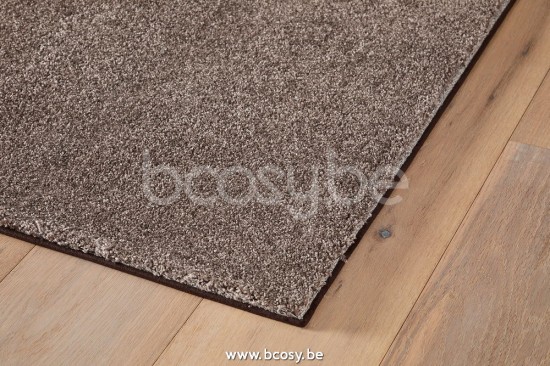 Sedna amphitrite carpets