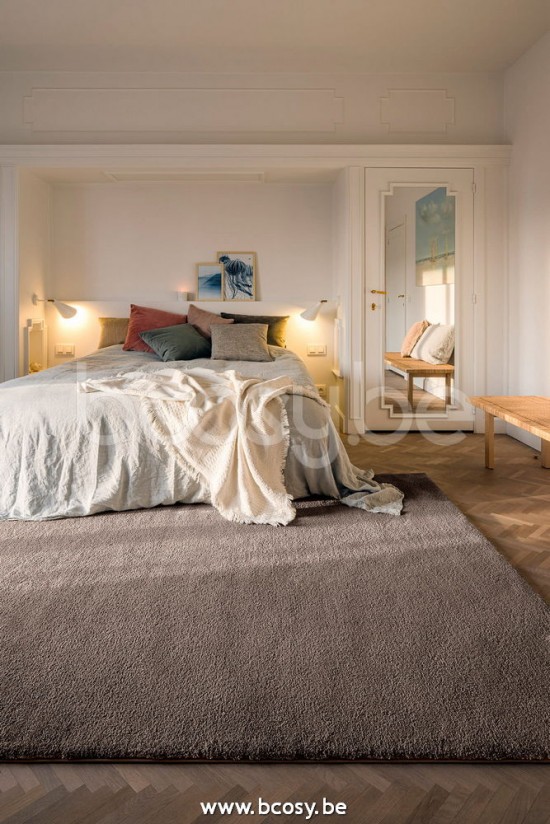 Sedna amphitrite teppiche