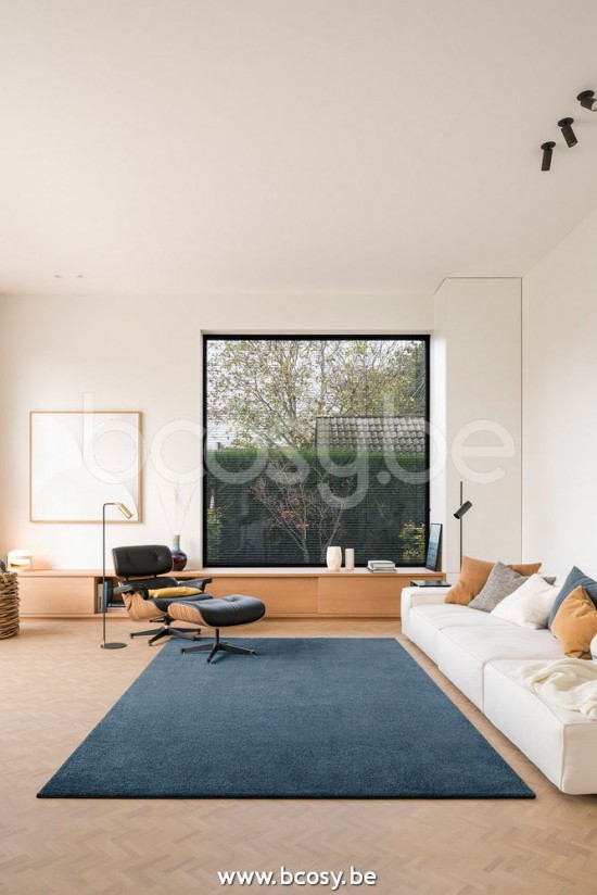 Sedna fontus teppiche