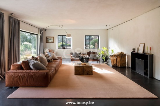 Sedna tsovinar tappeto