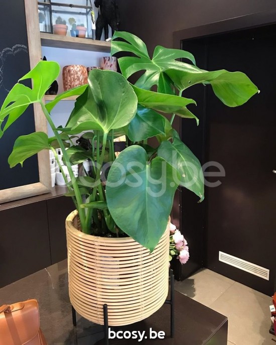 Vincent Sheppard Pot à plante Vivi M Vivi Moyen Pot à plantes Cadre en Acier Noir Rotin Naturel.