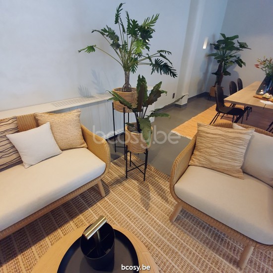 Vincent Sheppard Alex 1 person seaters couches Natural Oak Wood frame Clear Lloyd Loom.