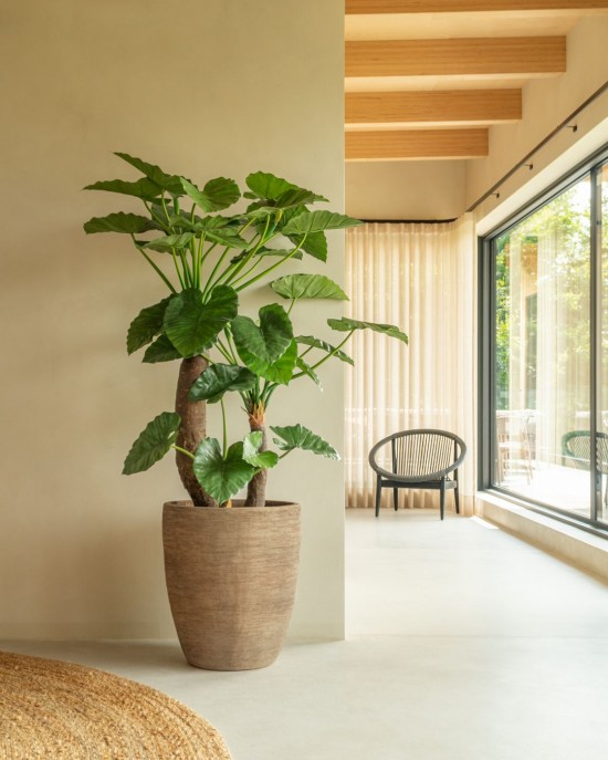 Vincent Sheppard Saya Set de pots ovales.