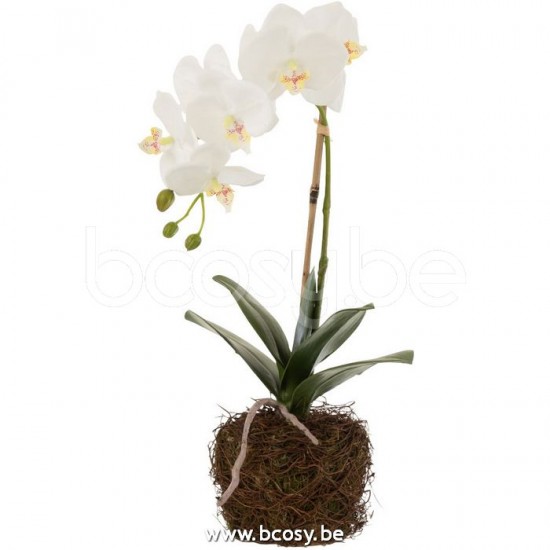 J Line Jline Orchidee In Aarde Plastiek Wit Groen Small