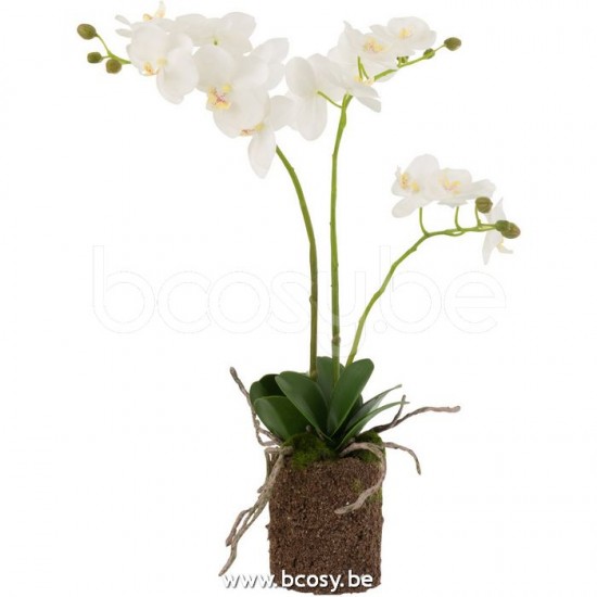 J Line Jline Orchidee In Aarde Plastiek Wit Groen Medium